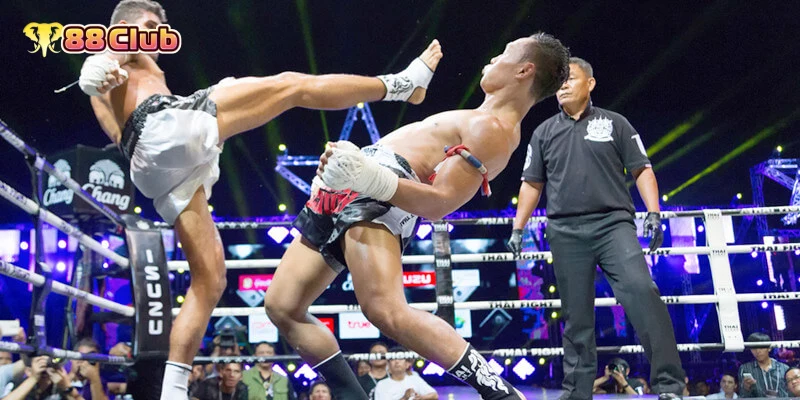 ศึกษาข้อมูลนักมวย