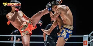 มวยไทยออนไลน์