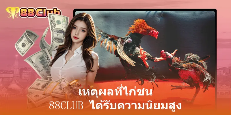 เหตุผลที่ไก่ชน 88club ได้รับความนิยมสูง