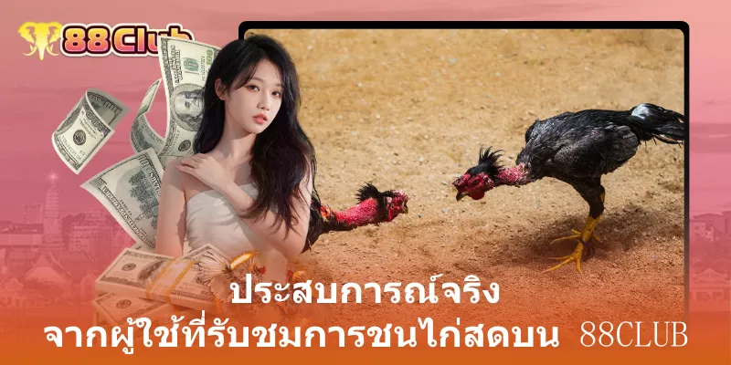 ประสบการณ์จริง จากผู้ใช้ที่รับชมการชนไก่สดบน 88club