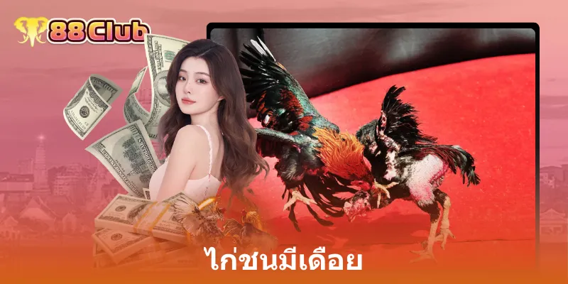 ไก่ชนมีเดือย