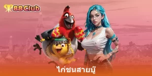 ไก่ชนสายบู๊